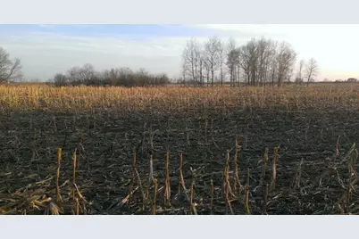 Tbd 16-005-0102 Mille Lacs County, Princeton, MN 55371 - Photo 4