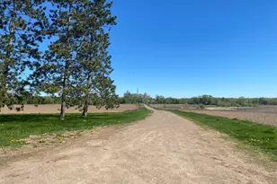 18890 55th St NE, Foley, MN 56329 - Photo 2