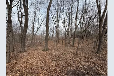 Tbd Short Putt, Garrison, MN 56450 - Photo 12