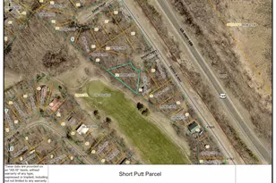 Tbd Short Putt, Garrison, MN 56450 - Photo 1