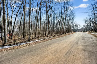 Tbd Ripley Spur Road, Sarona, WI 54870 - Photo 8