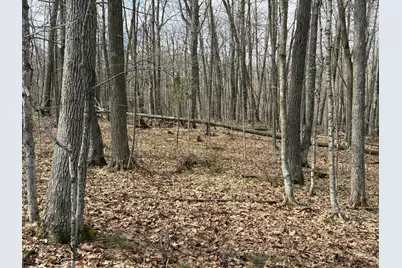 Tbd Ripley Spur Road, Sarona, WI 54870 - Photo 18