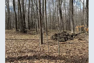 Tbd Ripley Spur Road, Sarona, WI 54870 - Photo 20