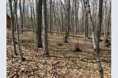 Tbd Ripley Spur Road, Sarona, WI 54870 - Photo 24