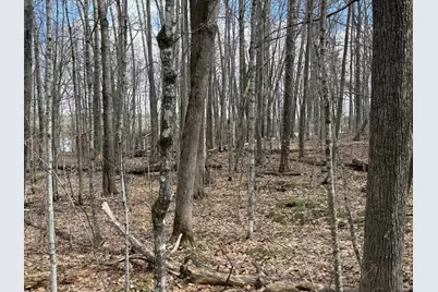 Tbd Ripley Spur Road, Sarona, WI 54870 - Photo 22