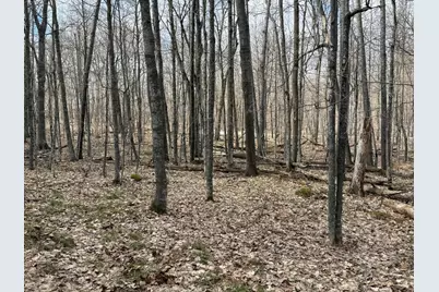 Tbd Ripley Spur Road, Sarona, WI 54870 - Photo 26
