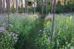 8555 15th Ave NW, Rice, MN 56367 - Photo 38