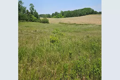 Tbd 20 Acres Ranchette Drive, Breezy Point, MN 56472 - Photo 4