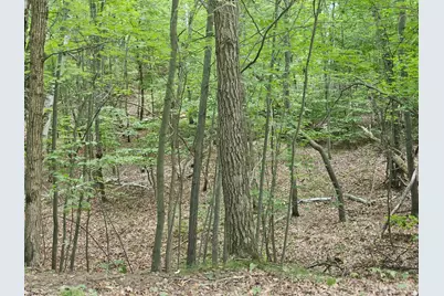 Tbd Tract B Richfield Road SW, Pillager, MN 56473 - Photo 14