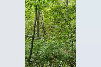 Tbd Tract B Richfield Road SW, Pillager, MN 56473 - Photo 12