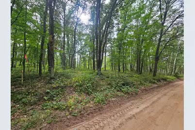 Tbd Tract C Richfield Road SW, Pillager, MN 56473 - Photo 4