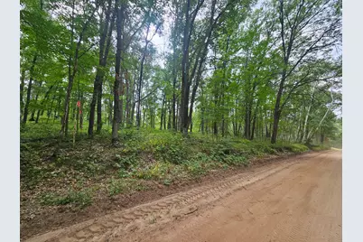 Tbd Tract C Richfield Road SW, Pillager, MN 56473 - Photo 1