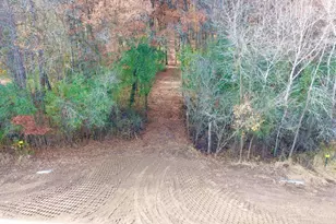 Tbd 165th Ave SE, Santiago Township, MN 55319 - Photo 8