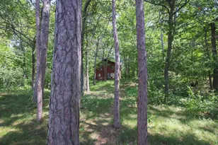 7972 Ruttger Rd, Pequot Lakes, MN 56472 - Photo 38