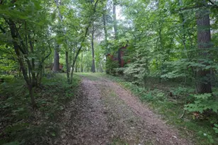 7972 Ruttger Rd, Pequot Lakes, MN 56472 - Photo 50