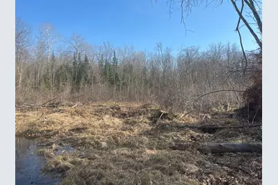 24478 Wooded Circle, Finlayson, MN 55735 - Photo 6