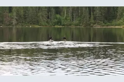 3Xxx County Road 904, Babbitt, MN 55706 - Photo 24