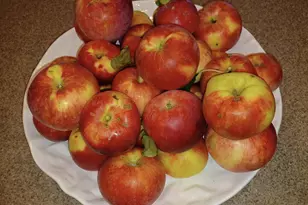 4838 Crown Ln, Woodbury, MN 55129 - Photo 72