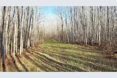 11680 County 59 Road, Orr, MN 55771 - Photo 12