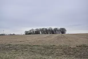 638 Shardlow Pl NE, Byron, MN 55920 - Photo 20