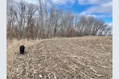 Tbd Co Hwy 1, Underwood, MN 56586 - Photo 12
