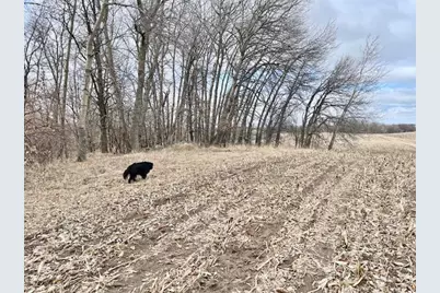 Tbd Co Hwy 1, Underwood, MN 56586 - Photo 8