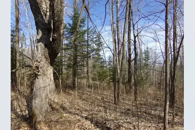 Tbd Goshawk Street, McGregor, MN 55760 - Photo 6