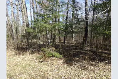 Tbd Goshawk Street, McGregor, MN 55760 - Photo 4