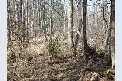 Tbd Goshawk Street, McGregor, MN 55760 - Photo 12