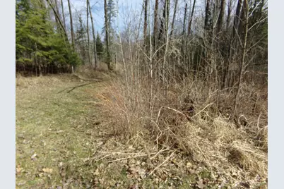 Tbd Goshawk Street, McGregor, MN 55760 - Photo 8