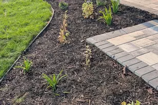 259 Lori Ln, Delano, MN 55328 - Photo 38