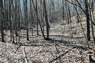 17341 Co Hwy M, New Auburn, WI 54757 - Photo 50