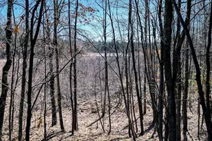 17341 Co Hwy M, New Auburn, WI 54757 - Photo 54