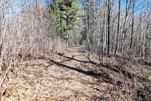 17341 Co Hwy M, New Auburn, WI 54757 - Photo 56