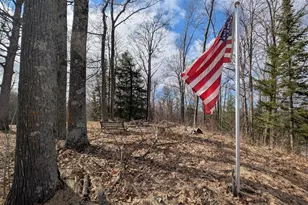 N1003 Deerhead Point Dr, Chetek, WI 54728 - Photo 6
