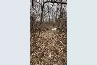 Tbd Big Pine Trail, Crosslake, MN 56442 - Photo 4