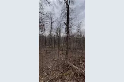 Tbd Big Pine Trail, Crosslake, MN 56442 - Photo 2