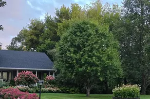 29219 149th St NW, Zimmerman, MN 55398 - Photo 4