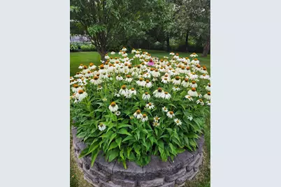 29219 149th Street NW, Zimmerman, MN 55398 - Photo 34