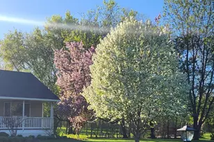 29219 149th St NW, Zimmerman, MN 55398 - Photo 38