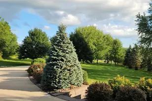 9200 County Rd 3 NW, Oronoco, MN 55960 - Photo 56