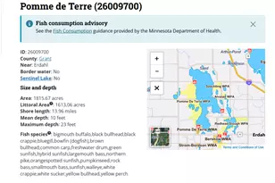 27392 Oak Point Rd, Elbow Lake, MN 56531 - Photo 70