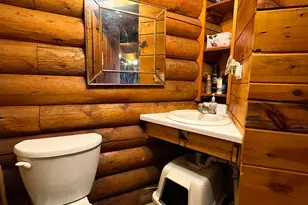 4787 Whitetail Rd NE, Bemidji, MN 56601 - Photo 12