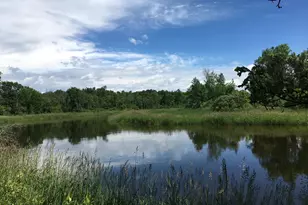 14062 Big Pine Trail, Crosslake, MN 56442 - Photo 38