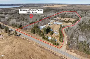 41200 State Hwy 286, Bigfork, MN 56628 - Photo 2