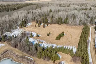 41200 State Hwy 286, Bigfork, MN 56628 - Photo 42