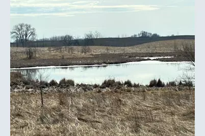 27181 Cr-10, Starbuck, MN 56381 - Photo 4