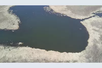 27181 Cr-10, Starbuck, MN 56381 - Photo 18