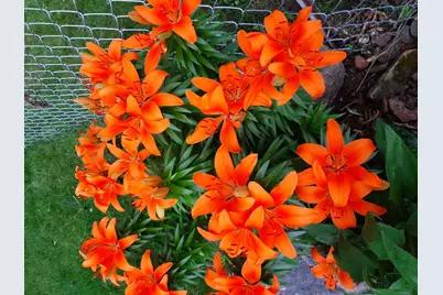 206 West Street, Walters, MN 56097 - Photo 40