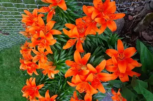 206 West St, Walters, MN 56097 - Photo 40